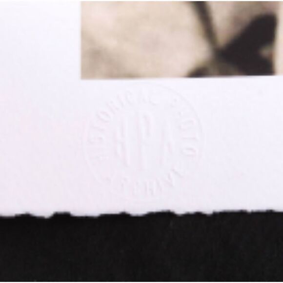 Ted William's "The Rookie" 10x14 Fine Art - Picture 3 of 8